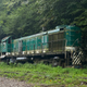 Image for article titled This Vintage Train Rotting In The Woods Of Tennessee Has A Sad Story